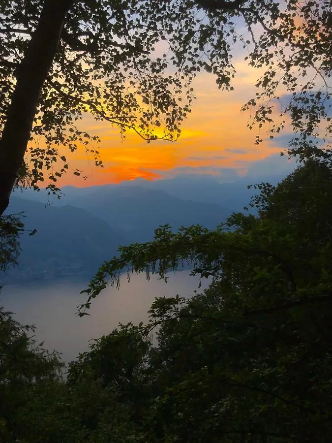Il Larice D' Oro Aparthotel Sueglio 0*,